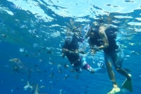 リーフリゾートかりゆし