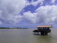 西表島サニーデイ