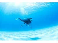 キャッツインケラマ