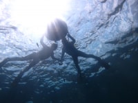 ウォーターボール　ダイビングスクール