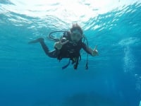 オーシャンウェイ