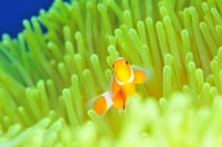 沖縄恩納村ダイビングベース　コロニー