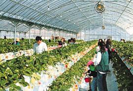 ふるさとセンター Y・BOX