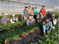 農業法人 今田平