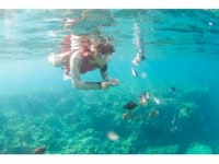 マリンサポート　タイド・残波