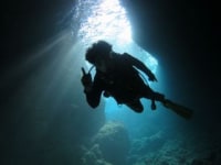 イージーダイバー