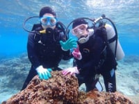 リキッドブルー