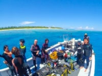 フィールダイブ