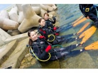 ダイブセブンシーズ沖縄