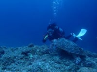 マナ　ファクトリー