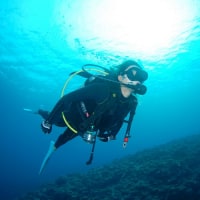 ダイビングショップ　プラスアルファ