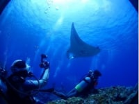 石垣島ダイビングサービスシーメリリー