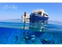 ダイブエスティバン