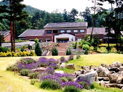 北アルプス展望美術館 池田町立美術館