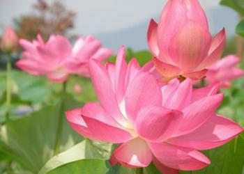 東海広場の写真1