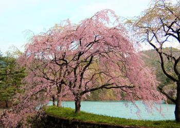 長木渓流の写真1