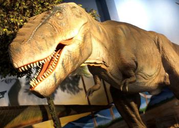 太古レストラン ダイナソーの写真1