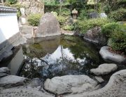 鶴川温泉の写真1