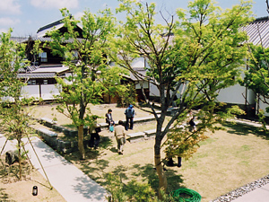 吉田家住宅の写真1