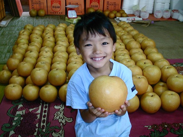 本田観光梨園の写真1