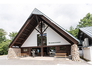 塩釜キャンプ場の写真1