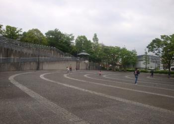 城山公園の写真1