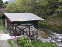 川衣水芭蕉群生地の写真1
