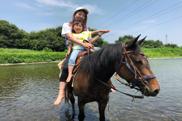 マリヤの風の写真1