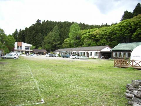 星ふる学校 くまの木の写真1