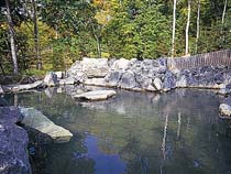 いこいの湯宿 いろは