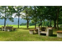 スターランドさかだに