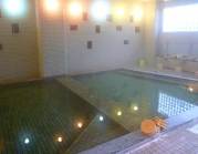 宝珠 湯の宿 枕水