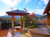 上山温泉 有馬館