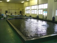 ミッキーフィッシングセンター