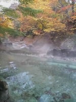 奥薬研修景公園