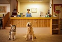 だいこく館の写真1