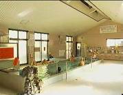 花野温泉　たぬき湯の写真1