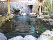 狸　自然乃湯の写真1