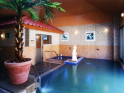 新居浜温泉パナスの写真1