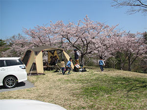 早掛レイクサイドヒルキャンプ場の写真1