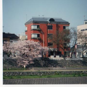 プチホテル アイビーの写真1