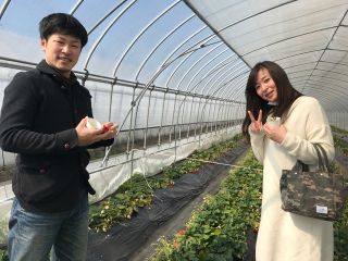 どまんなか田沼観光農園の写真1