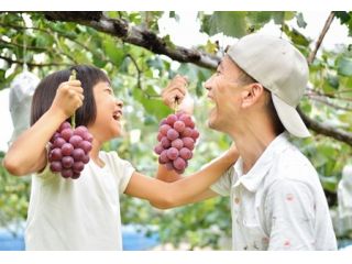 足立ぶどう園の写真1