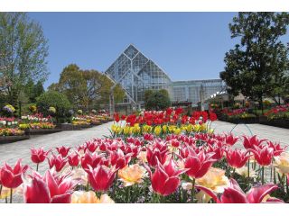 福知山市都市緑化植物園の写真1