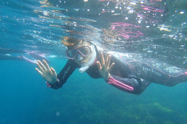 伊豆大島ミスタードルフィンダイビングサービスの写真1