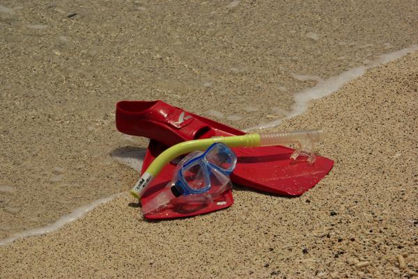 竹ネイチャーアカデミーの写真1