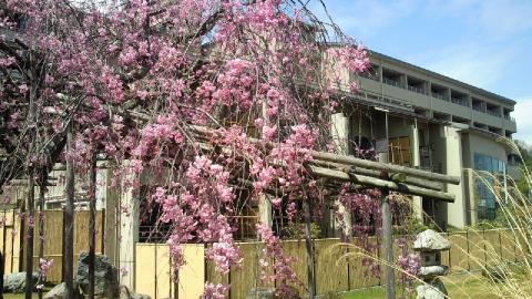 おごと温泉 びわこ緑水亭の写真1