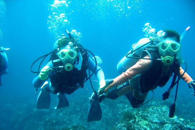 和光マリンの写真1