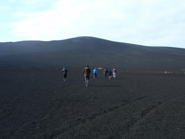 オレンジフィッシュの写真1