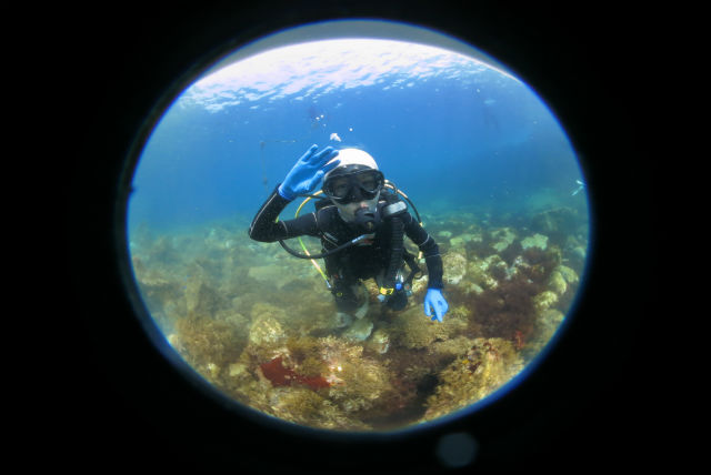 あとぱぱダイビングサービスの写真1